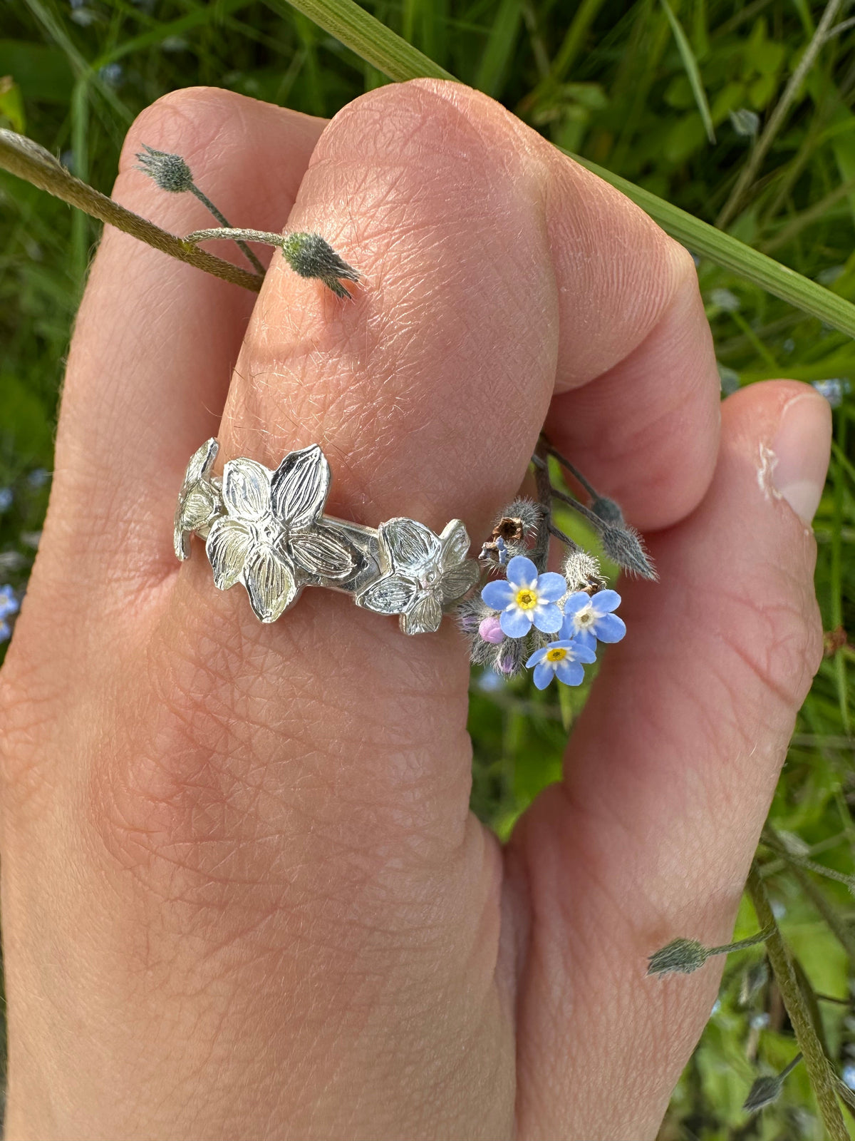 Forget Me Nots